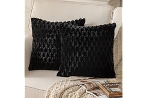 Mandioo 2er Set Schwarz superweichen dekorative Plüsch Kissenbezug Kissenbezüge 60 x 60 cm Wollsamt Dekokissenbezüge Kissenhülle Sofakissen Dekokissen flauschig für Couch Sofa Bett Wohnzimmer