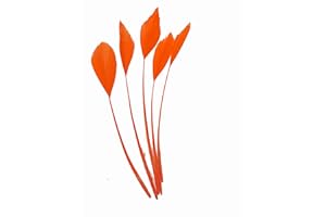 CAPRILITE Long Fascinators Feathers Stripped Coque Millinery Hats Trimmings Coloured (Orange)