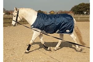 Rhinegold Horsewalker/Lunge Rug