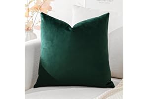 Artscope Federe Cuscini in Velluto Minimalista Copricuscino Colorato per la Decorazione Domestica Soggiorno Camera da Letto Divano 45x45cm, Verde Scuro