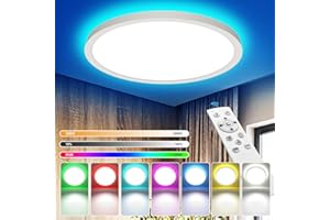 YiLaie Plafoniera LED Soffitto Moderna,24W 2700LM RGB rotonda lampadario soggiorno,Dimmerabile Con Telecomando 3000-6500K Lampadario LED,Per Soggiorno Camera letto Cucina Bagno,lP44,Ø30cm