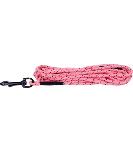 Hundehalsband Puppy Dolly Taupe – Verstellbar (30–45 Cm), Reflektierend, Aus Nylon