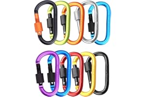 MORAINJAY 2/3/5/10 Pièces 10 Couleurs Mousqueton Aluminium en Forme D avec Verrouillage à vis,Mousqueton Tactique pour Camping, Extérieur,Vélo,Laisses de Chien