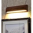 Green House Handmade Wall Spotlight/Focus/Mirror/Picture/Vanity/Dressing Table Light Lamp | in-Built 5W Warm White LED | Fancy Home Decor Lighting for Photoframe | Stylish for Bedroom, Living Room
