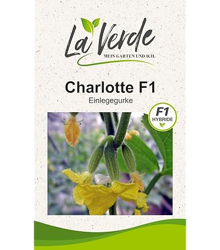 Kiepenkerl Gelbsenf Saatgut 1kg - Gründünger Für Natürliche Bodenverbesserung