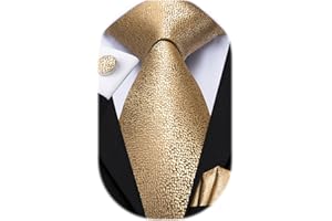 Dubulle Mens Tie Set Paisley Floral Checks Neckties for Men Silk Pocket Square Cufflinks Suit Wedding