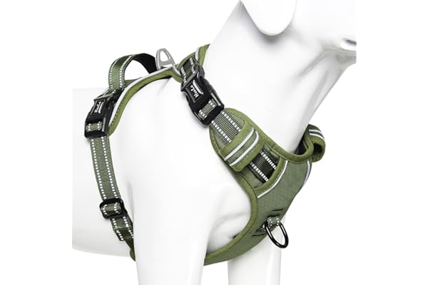 HEELE Arnés para Perro, arnés Anti tracción Reflectante, arnés para Perro Mediano Grande con asa Acolchada, 1 Hebilla en la Correa Recta del Cuello, fácil de Poner y Quitar, Verde, L