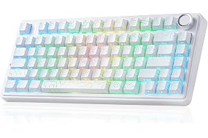 x Aula F75 Pro Wireless Mechanical Keyboard,75% Hot Swappable Custom Gaming Keyboard with Five-Layer and BT5.0/2.4GHz/USB-C Tri-Model,RGB Backlit,Side Printed PBT Keycaps (White Contour Lines)