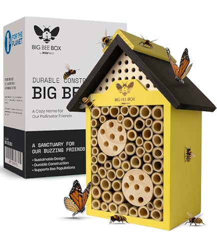 UNUS Hôtel à Insectes Avec Tiroir D'Observation - Maison Abeilles Sauvages Bois Non Traité 29,5x18,5x16,5 Cm