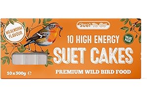 Suet To Go Mealworm Suet Block Wild Bird Treat, 300 g ( Pack of 10) (Packaging may vary)