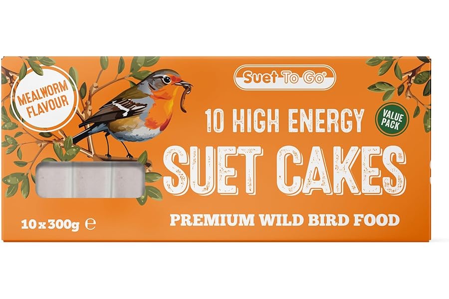 Suet To Go Mealworm Suet Block Wild Bird Treat, 300 g ( Pack of 10) (Packaging may vary)