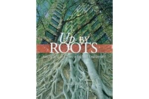 Up By Roots: Healthy Soils and Trees in the Built Environment