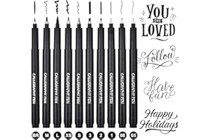 DealKits 10 Größe Kalligraphie Stifte Schnelltrocknende Calligraphie Stifte Pinselstifte Schwarz Fineliner Handlettering Stifte für Schriftzug Anfänger Bullet Journal Tagebuch Unterschrift Zeichnung
