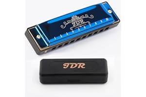 JDR Mundharmonika, 10 Löcher, 20 Töne, mit 1 mm Plattenstruktur, für Anfänger, Kinder, Musiker geeignet für jeden Anlass, wie Blues, Folk, Jazz und Pop (Blau)