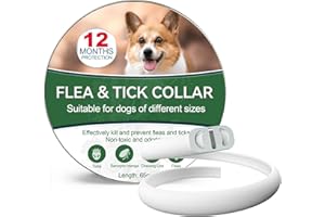 PAISTELY Collier Anti-puces pour Chiens, Collier Anti-puces sûr et Efficace pour Chiens composé d'huiles essentielles Naturelles, efficacité 12 Mois Collier Anti-tiques pour Chiens (1pack)