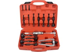 DAYUAN Blind Hole Collet Bearing Puller Set,16 pcs Inner Bearing Race and Seal Extractor Kit Slide Hammer Pilot Insert Bearing Removal Tool