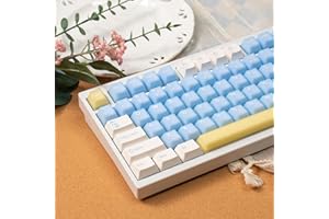 ‎SUMGSN 164 Tasten Gemischte Farbe Blau Transluzente Tastenkappen PBT Doubleshot Blau Tastenkappen Set Fit für 61/64/87/104/108 Cherry Mx Schalter Mechanische Tastatur
