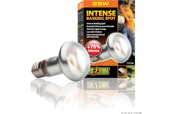 Exo Terra Intense Basking Spot - lampe spot chauffante