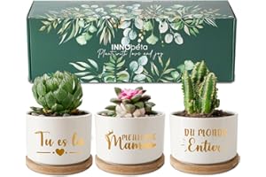 INNObeta Cadeaux pour Grand-mère, Lot de 3 Pots de Plantes succulentes avec Plateau en Bambou, Plantes Non incluses, Jolis Pots en céramique, Tu ES la Meilleure Mamie du Monde Entier