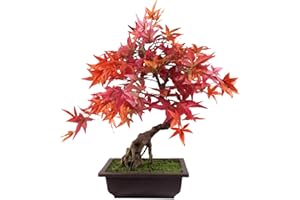 Leaf Árbol de bonsái Artificial pequeño