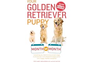 Your Golden Retriever Puppy Month by Month: Everything You Need to Know at Each Stage to Ensure Your Cute and Playful Puppy