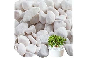 flonatur Piedras Blancas Canto Rodado Blanco para Jardin | Grava tamaño Grandes| Adorno para tu Jardin | Marmolina Decorativa Espacio Exterior | Diferentes Tamaños (Saco 40/60 10KG)