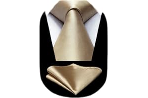 HISDERN Cravate Homme Mariage Fete Cravates et Mouchoirs pour hommes Cravate Classique Ensemble Carré de Poche,Couleur unie