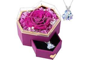 PatNlevs Ewige Rose Geschenkbox mit Kette, Geschenke für Frauen, Geburtstagsgeschenke für Grauen, Geschenk Freundin, Geburtstagsgeschenk für Mama, Schwester, Freundin