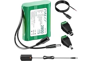 Palogreen 12.6V DC Batterie Rechargeable 2800mAh Lithium pour 12V, Batterie pour Bande LED, caméscope, caméra CCTV, DVD Portables, lecteurs MP3, lumières de pêche, Bricolage