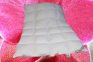 Betten Hofmann Luxury Down Duvet 135 x 220 cm 4 x 6 Checked Warm Goose Season Duvet