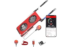 DALY Smart BMS LiFePO4 4S 12 V 250 A Bluetooth Carte de protection de batterie PCB Système de gestion de la batterie avec câbles d'équilibrage et module Bluetooth sans fil pour lithium fer phosphate