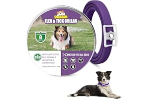 Surglam Dogs Flea and Tick Collar, 8 Months Protection Natural Flea Treatment for Dogs, Adjustable Flea and Tick Control for Puppy Dogs,Purple…