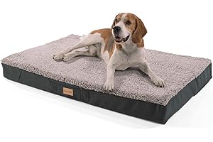 Brunolie Balu Dog Bed in Dark Brown, Washable, Orthopaedic and Non-slip, Cuddly Dog Bed with Breathable Memory Foam, Size L (100x65x10cm) Grey