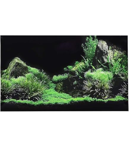 Aquarium-Hintergrund 'Nebelstein & Moos' – 76,2 X 30,5 Cm, Aus Polyester – Für Terrarium & Aquarium