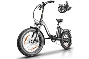 Vipdrive Bici Elettrica Pieghevole, EBike con 20''/24''/26'' x 4'' Fat Tire, Bicicletta Elettrica da Uomo/Donna per Adulti con Batteria da 48V 13AH, Motore da 250W, Fino a 25KM/H, Autonomia 100km