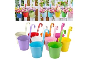 Pots de Fleurs, XRR 10 pièces Pots de Jardin avec Trou de Drainage, Crochet Amovible seaux à Suspendre, Pots de Fleurs en métal pour Plantes d'extérieur pour clôture Jardin (16 x 13,5 x 12 cm)
