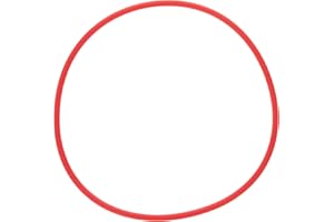 Olympus V6370510W000 - Junta tórica para PT-053