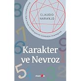 Karakter ve Nevroz: B&uuml;t&uuml;nleştirici Bakış A&ccedil;ısı ile Psikiyatrist G&ouml;z&uuml;nden Enneagram