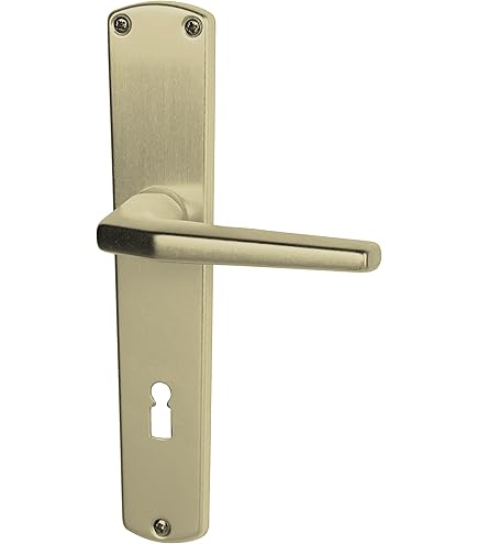 Frontale Per Serratura In Acciaio Inox | 172x22x1.1 Mm | Universale Per Porte Interne Ed Esterne | Facile Installazione - Foto 3