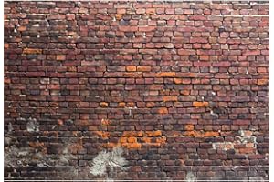 YongFoto 3 x 2,4 m tło fotograficzne postarzany grunge cegła ściana wyblakła tekstura tło sesje zdjęciowe noworodków kochankowie impreza dorośli dzieci dziecko osobisty portret zdjęcie tło rekwizyty studyjne