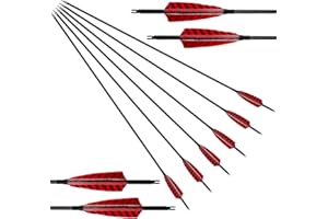 RUOERSI 29/30/31Pouces Flèche en Carbone Spine 400 500 Flèche de Pratique de Compétition de La Chasse 4" Plume Naturelle pour à l'arc Traditionnelle Long Classique et à l'arc à Poulie 6Pcs