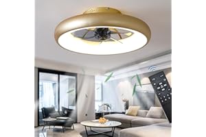 Exlafi Quiet 48CM Ceiling Fans with Lamp Remote Control, Modern Lighting Fan Ceiling Light LED 36W Dimmable Ceiling Fan Lights for Bedroom Living Room, Fan Reversible and 6 Speeds, Gold