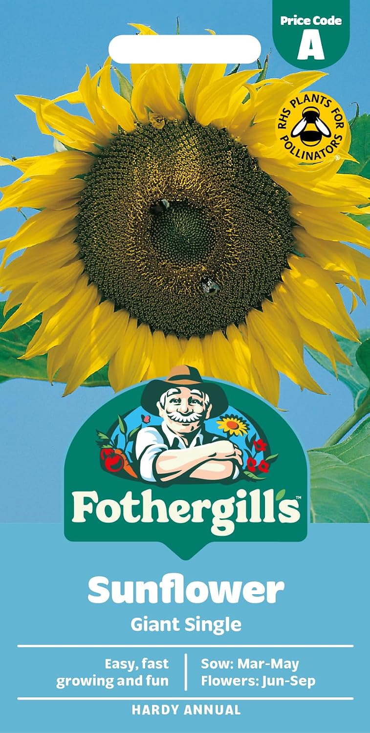 Fothergill's Sunflower Giant Single Flower Seeds, 75 Seeds, Helianthus Annuus, Yellow
