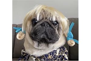 TESSVEYA Funny Hund Perücke, Katze Rollenspiel Perücke, Halloween, Weihnachten, Partys, Fest für Haustiere Perücke, kleine, mittlere und große Hunde Perücke (Goldene)