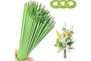 msymsyu 200 Stück Grün-Basteldraht 2mm×30cm Blumenstängel Draht Hellgrün Blumendraht Steckdraht Floristendraht für Handwerk-Blumenstiel-Dekoration