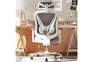 HOLLUDLE Ergonomic Office Chair with 3D Lumbar Support & 3D Adjustable Armrests – V-Back Design, Comfortable Desk Chair for Office & Home, White