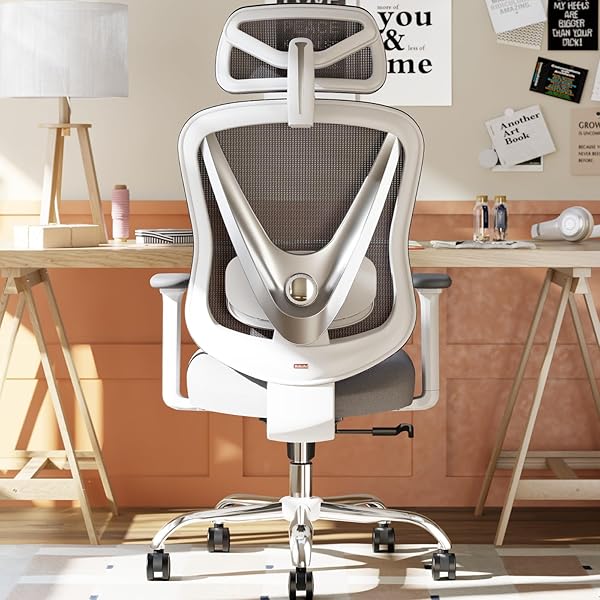 Marsail Sedia Da Ufficio Ergonomica In Rete – Schienale A S Con Supporto Lombare Regolabile, Braccioli Ribaltabili, Girevole, Portata 136 Kg (Nera)
