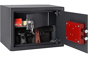 Brihard Armes à Feu et Munitions - 25x35x25cm - Capacité 20L - Coffre-fort à Parois épaisses pour la Sécurité de Votre Maison ou Votre Voiture