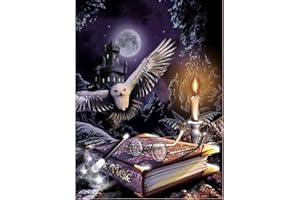 MXJSUA Bricolage Diamant Peinture 5D Complet Diamond Painting Kit Complet Pleine Ronde Perceuse Diamant Painting Broderie Diamant Kit Complet Décoration Murale 30x40 cm Noir Château Aigle Livre Ancien