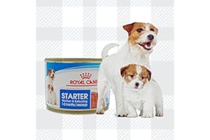 AETN Creations Starter Puppy Mousse Pack 6x195g Wet Tins Mother and Babydog plus AETN Jerky Dog Treat Balanced Nutrition for Young Puppies